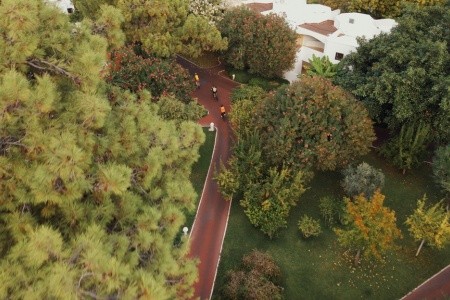 Emelda Sun Club - 96