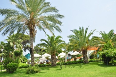 Zena Resort - 8