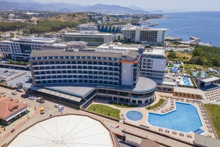 Lonicera Premium - 2