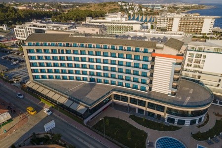 Lonicera Premium - 3