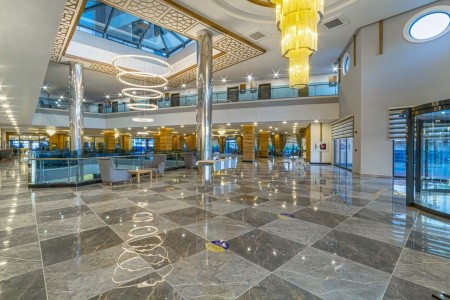 Lonicera Premium - 10