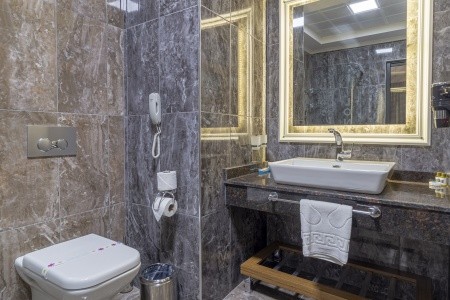 Lonicera Premium - 15