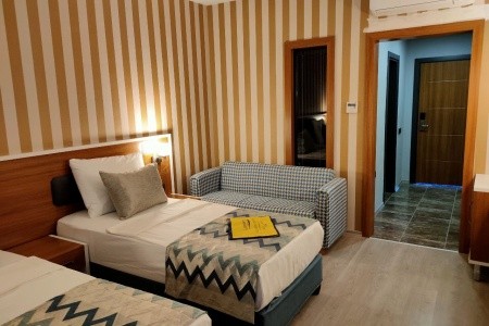 Lonicera Premium - 21