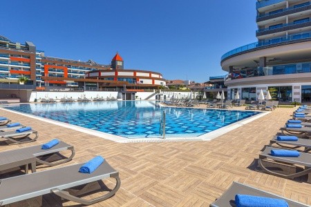 Lonicera Premium - 26