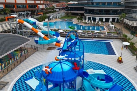 Lonicera Premium - 29