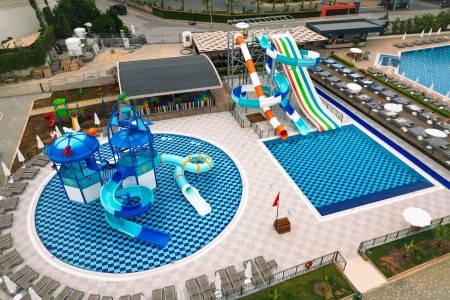 Lonicera Premium - 30