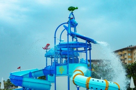 Lonicera Premium - 31