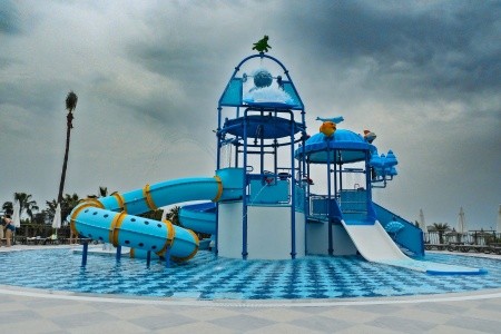 Lonicera Premium - 33