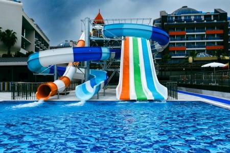 Lonicera Premium - 34