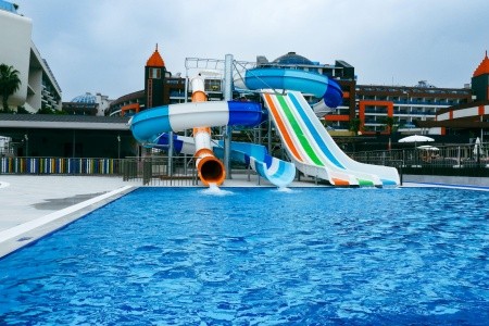 Lonicera Premium - 35