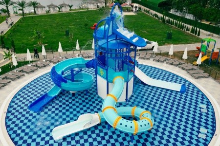 Lonicera Premium - 36