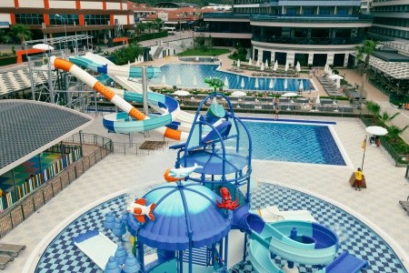 Lonicera Premium - 37