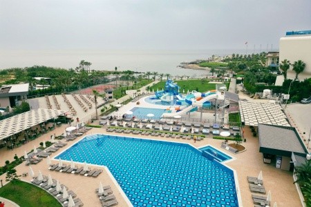 Lonicera Premium - 38