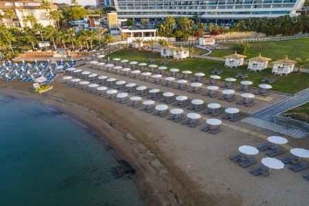 Lonicera Premium - 39