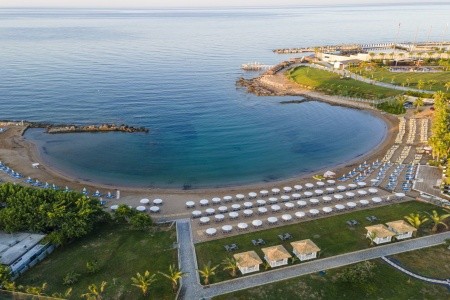 Lonicera Premium - 40