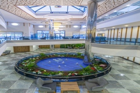 Lonicera Premium - 45