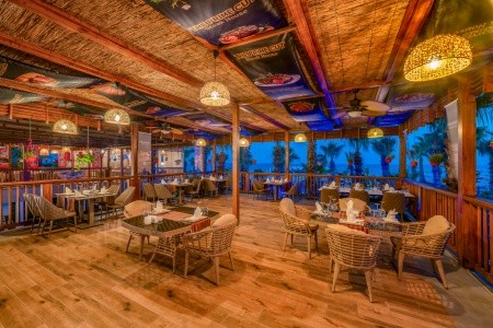 Delphin Diva Premiere - 22