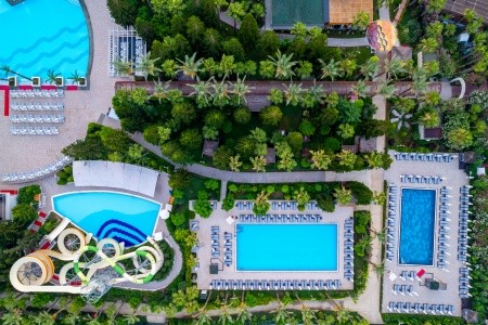 Delphin Diva Premiere - 48