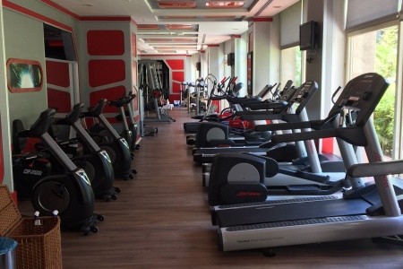 Delphin Diva Premiere - 65