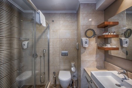 Well Palace Side (Ex. Side Crown Charm Palace) - 8