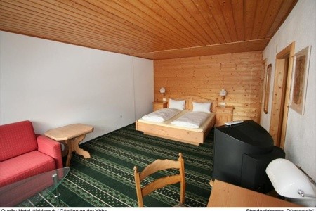 Familienhotel Waldesruh (Göstling) - 5