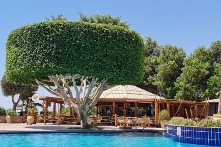 Marriott Beach Resort - 45