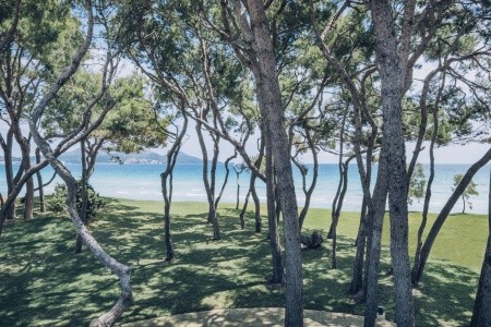 Iberostar Playa De Muro Village - 8