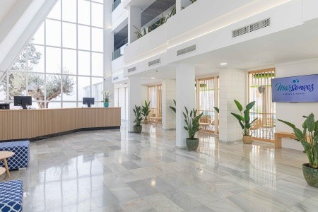 Marsenses Rosa Del Mar - 7