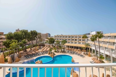 Marsenses Rosa Del Mar - 19