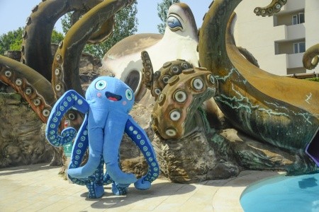 Marsenses Rosa Del Mar - 47