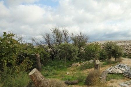 Apartmány 3298-5136 - 46