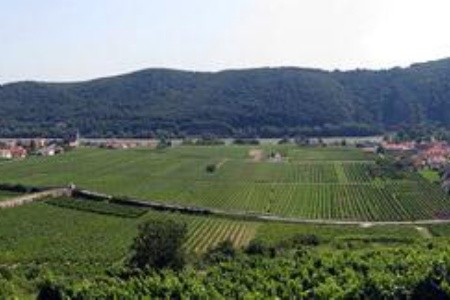 Wachau - Romantická Plavba Na Lodi - 8