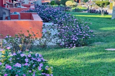 Swiss Touches Resort & Spa (Ex. Hotelux Oriental Coast) - 76