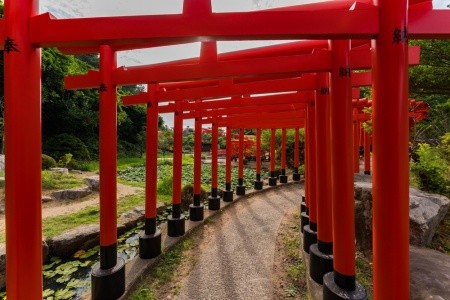 Japán arcai - körutazás a hagyománytól a jövőig - 5