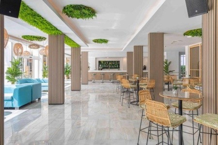 Marsenses Rosa Del Mar - 19