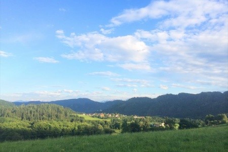 Gasthof Gfrerer Lipp (Feldkirchen) - 7