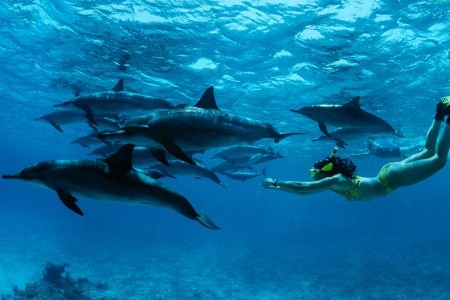 Sunrise Anjum Resort - 50