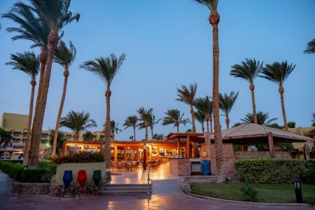 Palm Beach Resort - 15