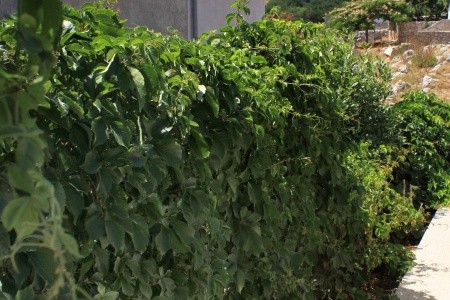 Robinzonáda 3298-1816 - 21