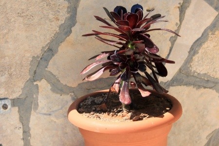 Robinzonáda 3298-1816 - 23