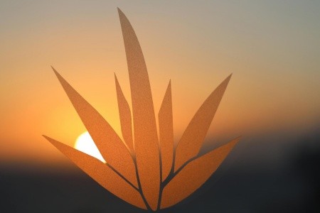 Kanárske ostrovy Tenerife Iberostar Sábila 9 dňový pobyt Polpenzia Letecky Letisko: Budapešť June 2026 (10/06/26-18/06/26)