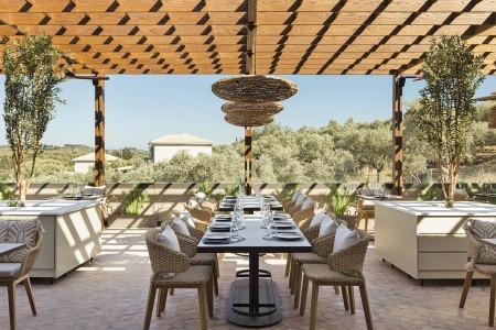 King Jason Zante - 14