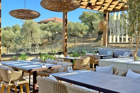 King Jason Zante - 15