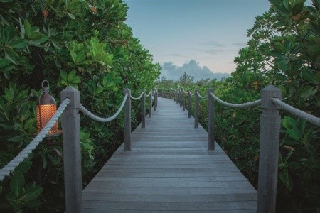 Constance Prince Maurice - 16