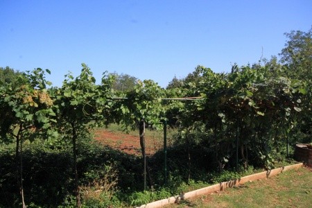 Apartmány 3298-1572 - 42