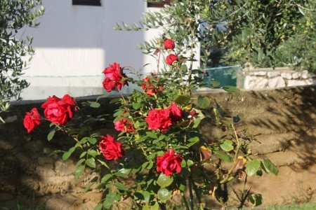 Apartmány 3298-2111 - 57