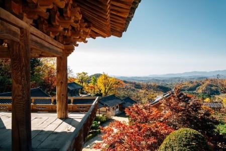 To nejlepší z Jižní Koreji