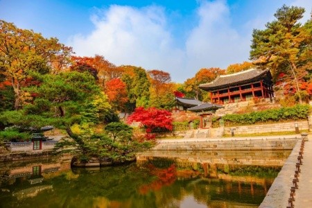 To nejlepší z Jižní Koreji - 6