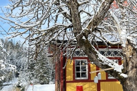 Park Sole Paradiso (Innichen) - 13