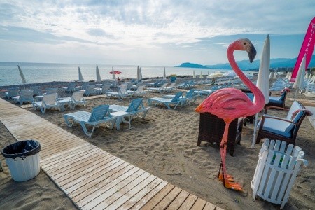 Turecko Alanya Campus Hill 9 dňový pobyt All Inclusive Letecky Letisko: Praha June 2026 (24/06/26- 2/07/26)